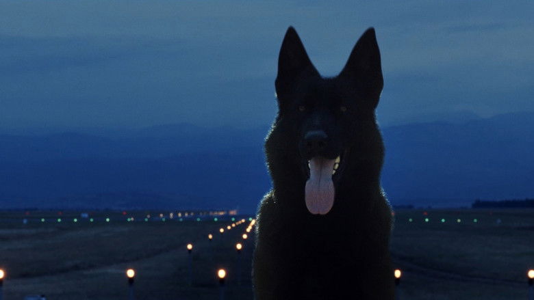 кадр из фильма Између дана и ноћи