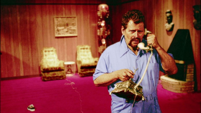 кадр из фильма It Is Fine! Everything Is Fine.