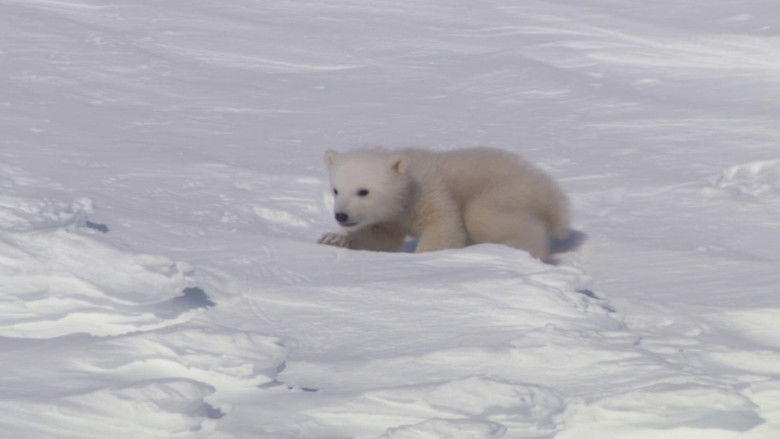 кадр из фильма Дети снегов