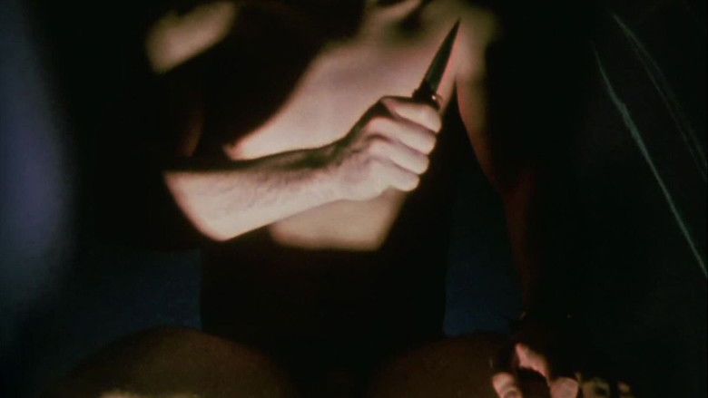 кадр из фильма Invocation of My Demon Brother