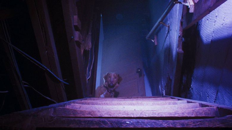 кадр из фильма Хороший мальчик