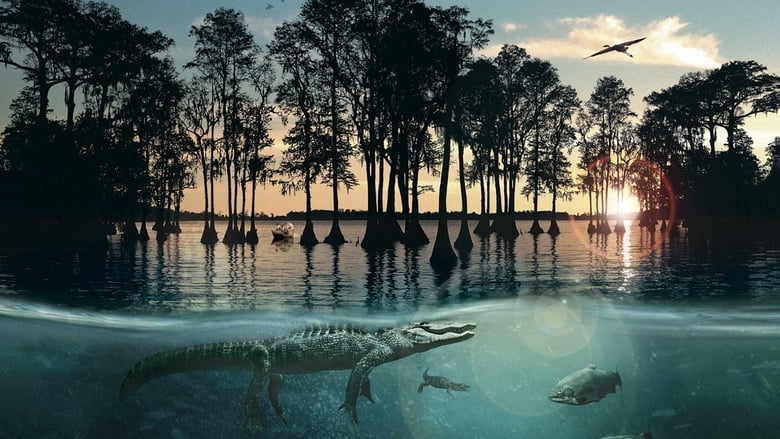 кадр из фильма Hurricane on the Bayou