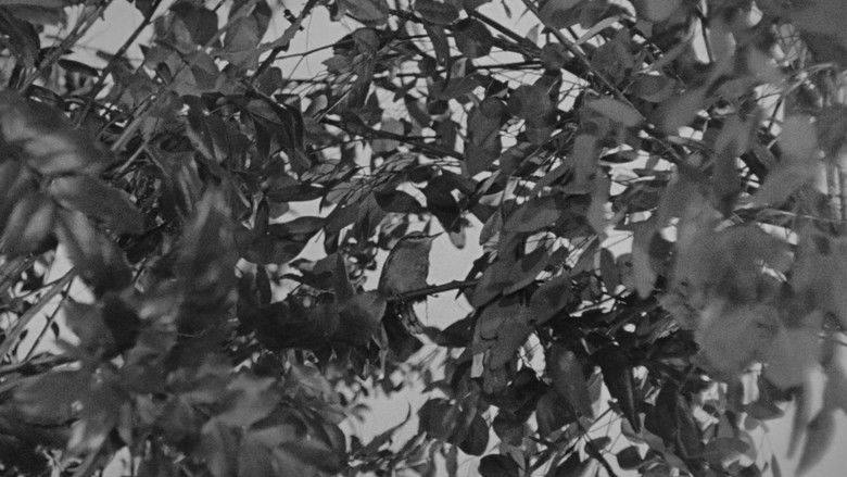 кадр из фильма Загородная прогулка