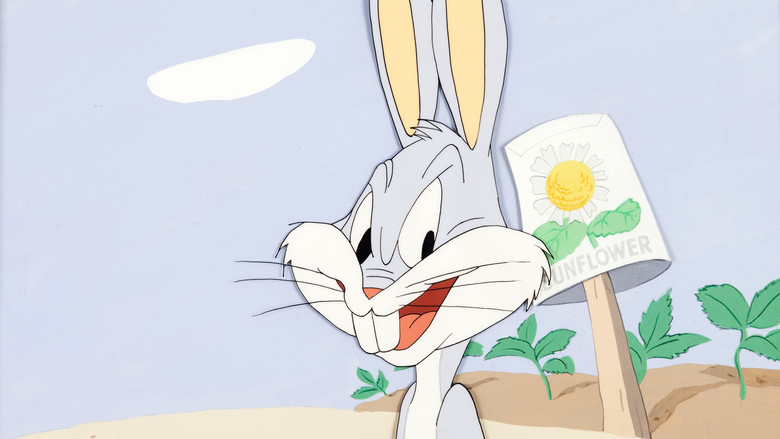 кадр из фильма Кролик за морями