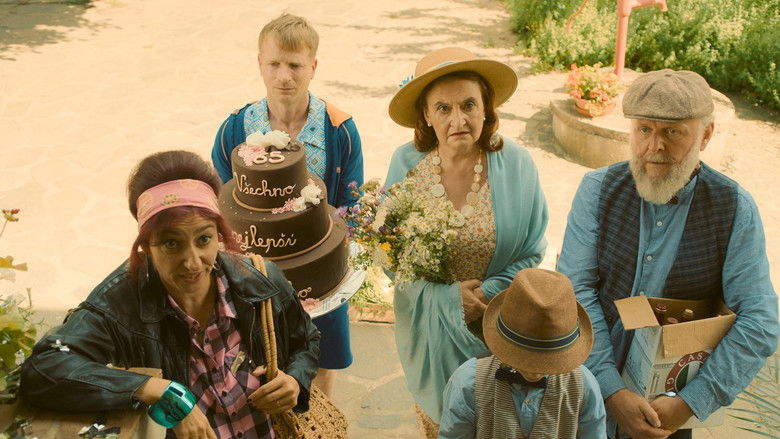 кадр из фильма Přání k narozeninám