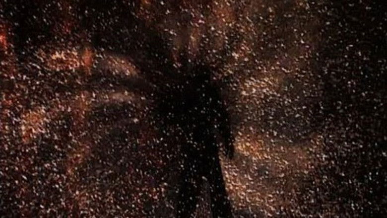 кадр из фильма Battements solaires