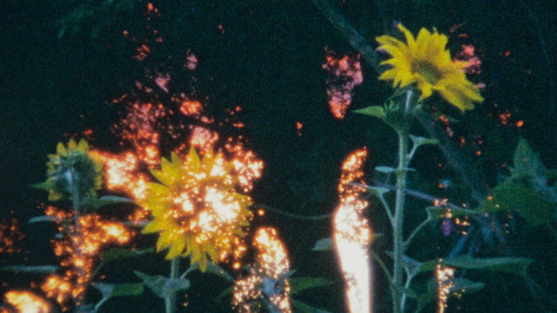 кадр из фильма Lux Taal