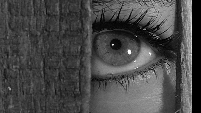 кадр из фильма Процесс