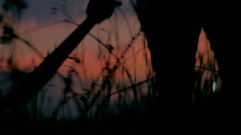 кадр из фильма Las hostilidades