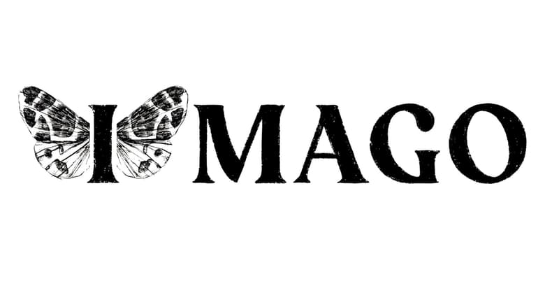 кадр из фильма IMAGO