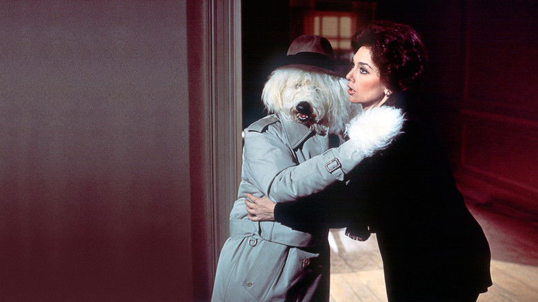 кадр из фильма Лохматый прокурор