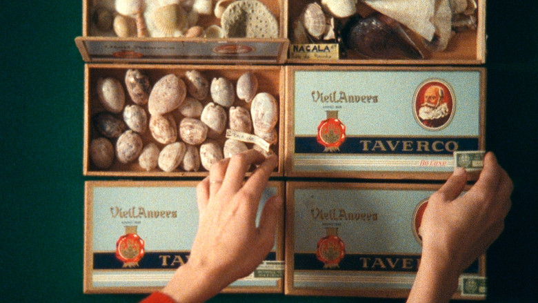 кадр из фильма Метаморфоза птиц