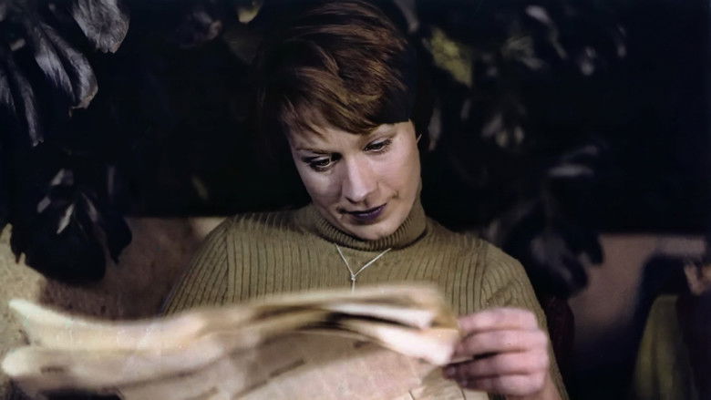 кадр из фильма Romans prowincjonalny