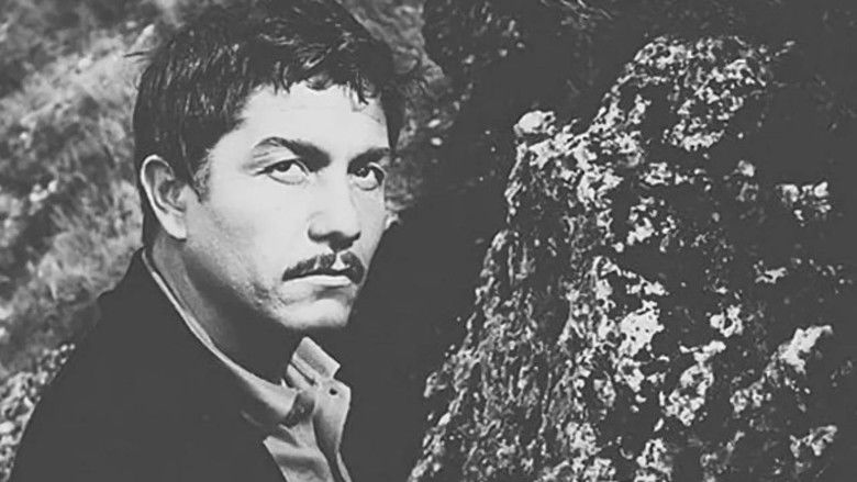 кадр из фильма Крутизна