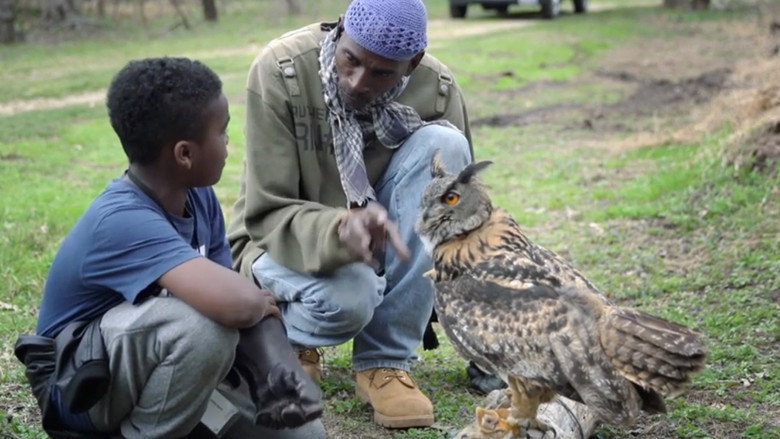 кадр из фильма The Falconer