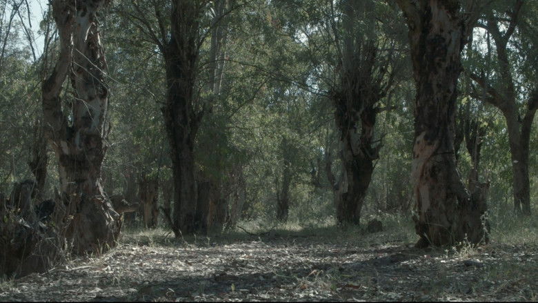 кадр из фильма Yarost'