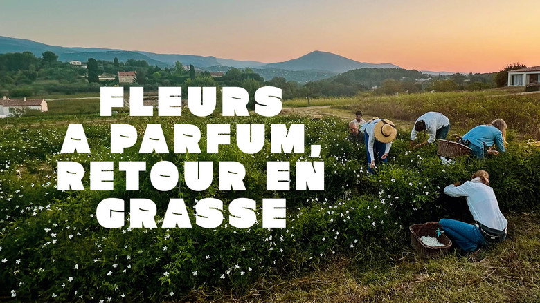 кадр из фильма Fleurs à parfum, retour en Grasse