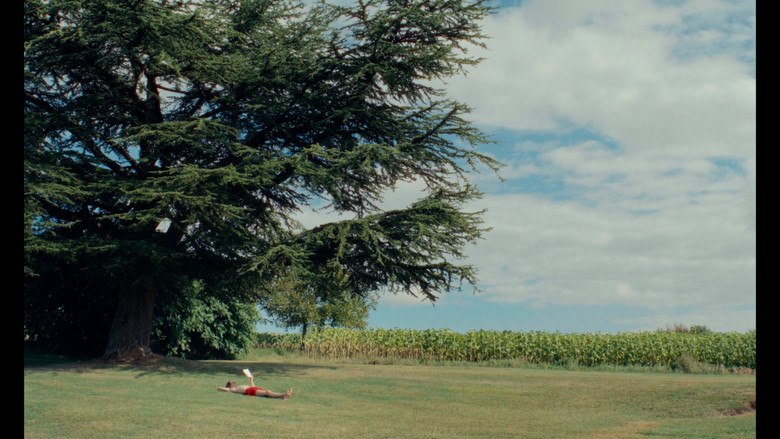 кадр из фильма les grillons.