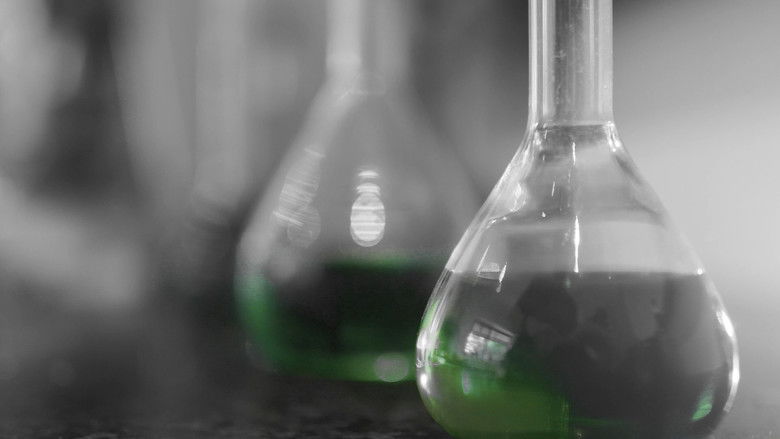 кадр из фильма second 16