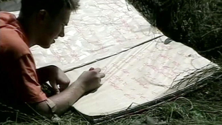 кадр из фильма 窗外