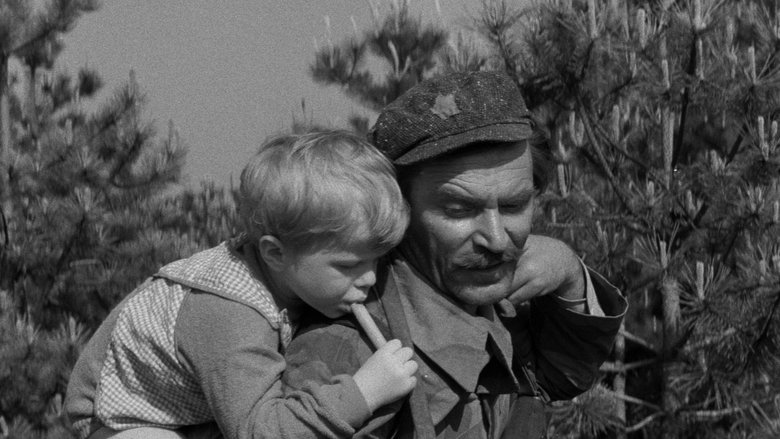 Не плачь, Петр