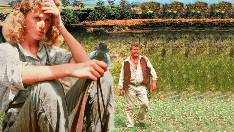 кадр из фильма Bush Christmas