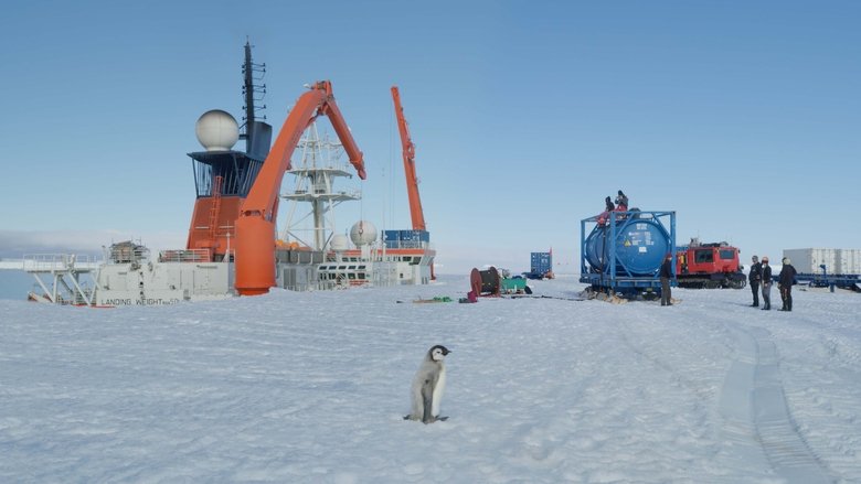 кадр из фильма Melt