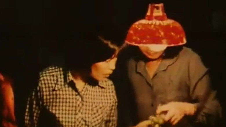 кадр из фильма Hong Kong, città di profughi