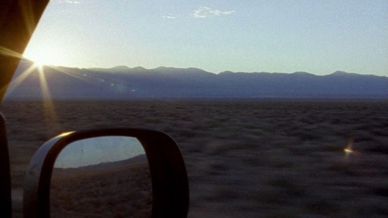 кадр из фильма Бурый кролик