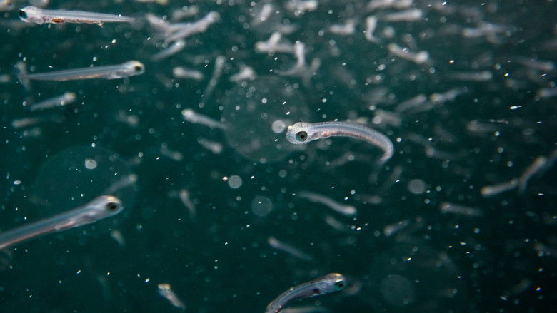 кадр из фильма All Too Clear