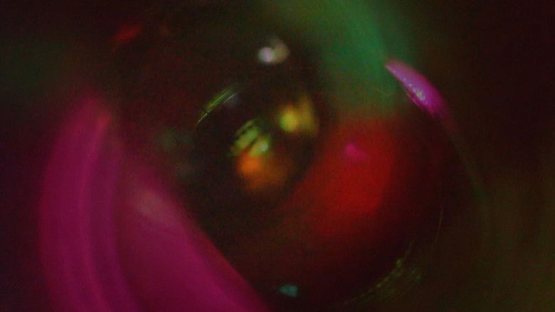 кадр из фильма Meet Frank (or Perfect Sunset Man)