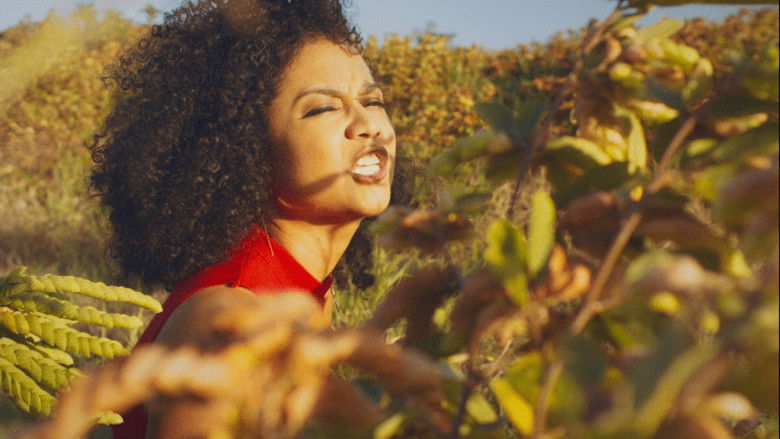 кадр из фильма Grace & Saleem