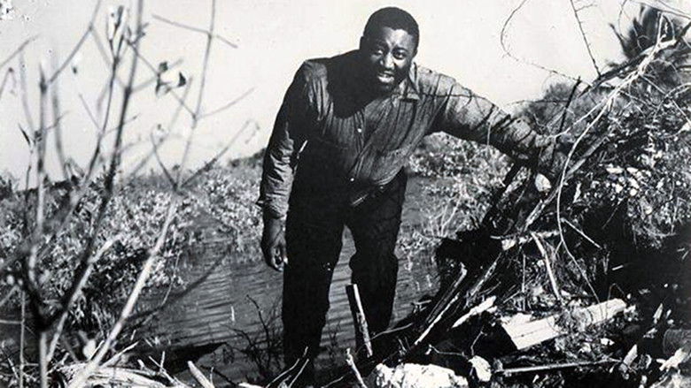 кадр из фильма Carib Gold