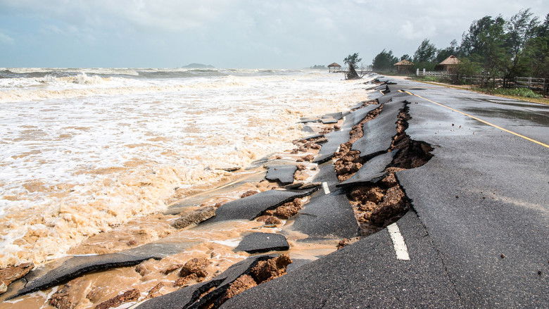 кадр из фильма Witness Disaster