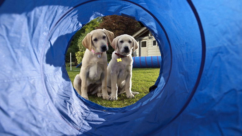 кадр из фильма Марли и я 2