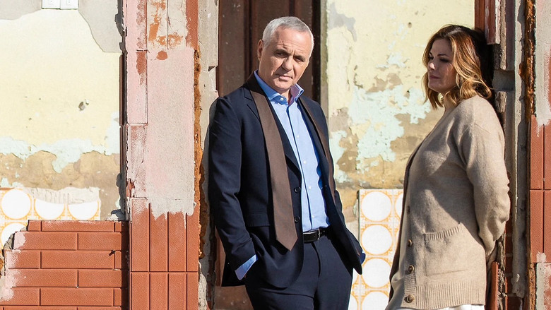 кадр из фильма Nel posto giusto