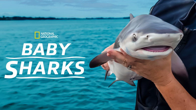 кадр из фильма Baby Sharks