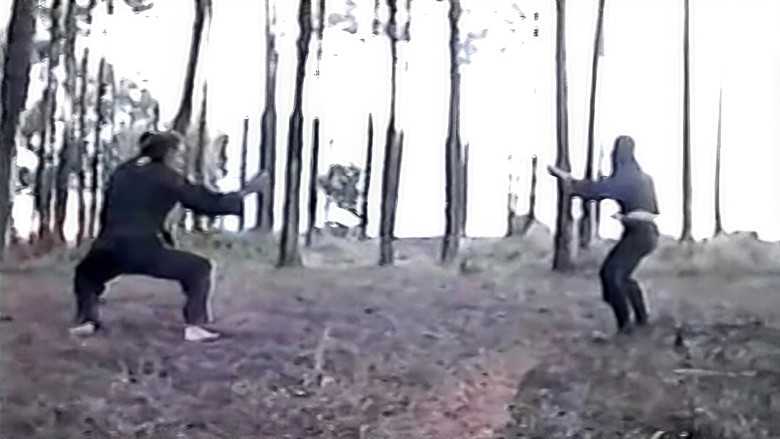 кадр из фильма O Ninja das Caldas