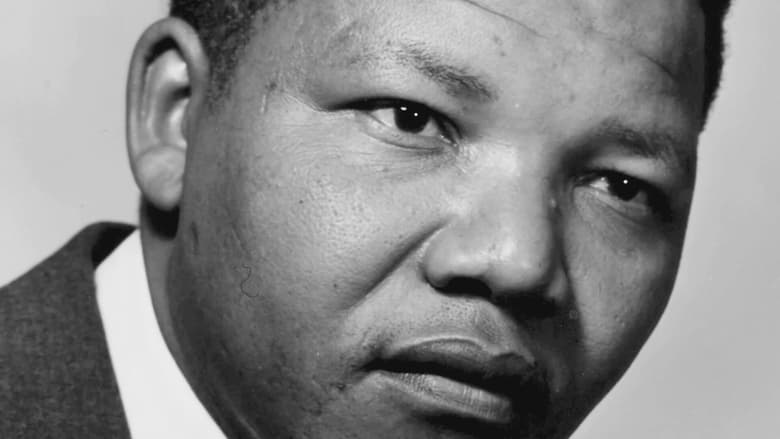 Life Is Wonderful: Mandela’s Unsung Heroes