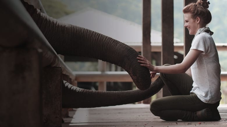 кадр из фильма Love & Bananas: An Elephant Story