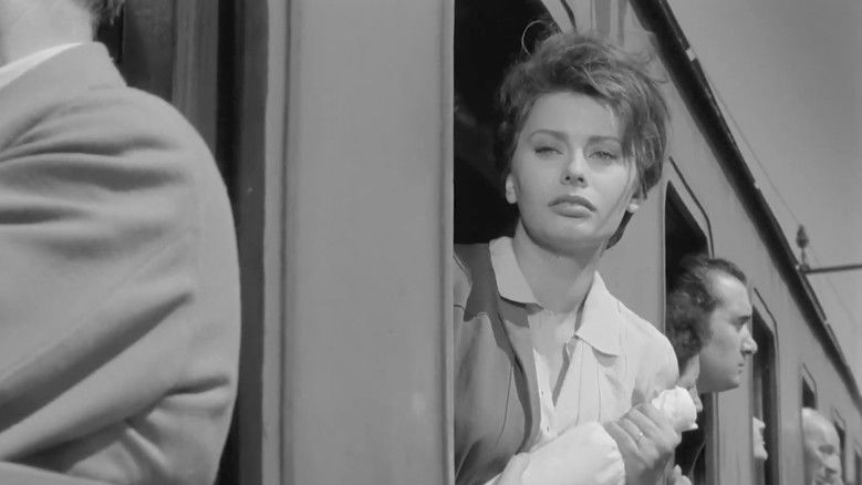 кадр из фильма Чочара