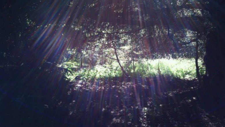 кадр из фильма Spring