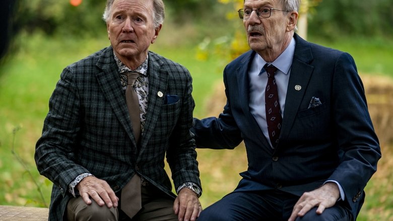 кадр из фильма Lille sommerfugl