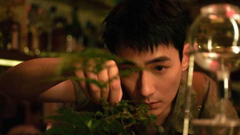 кадр из фильма 春风