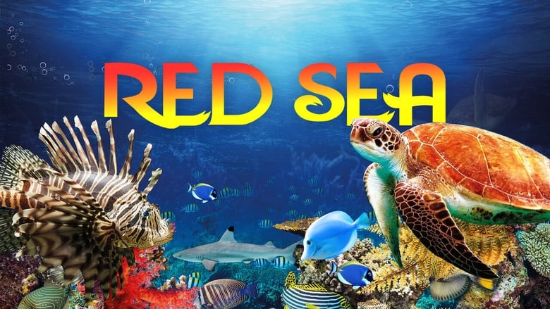 кадр из фильма Red Sea