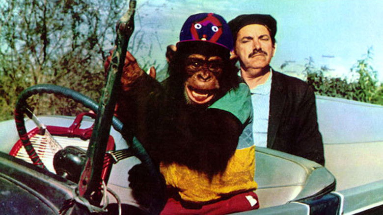 кадр из фильма Betão Ronca Ferro