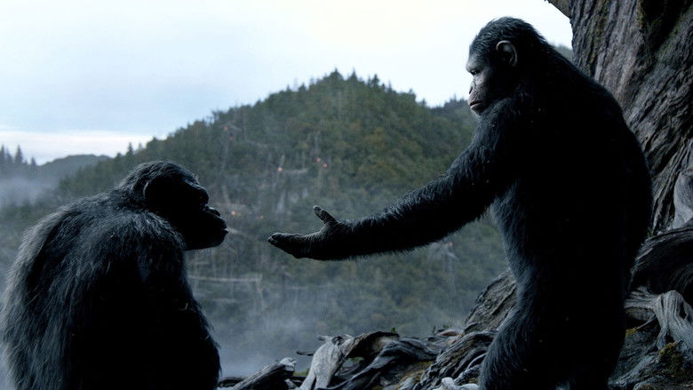 кадр из фильма Планета обезьян: Революция