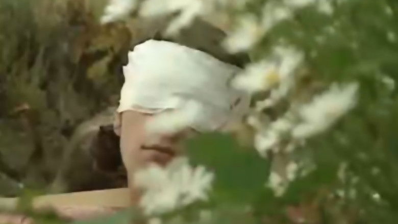 кадр из фильма The Action Art of Hermann Nitsch from Past to Present