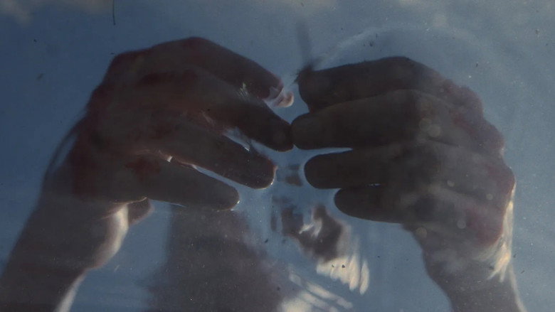 кадр из фильма The Brutal Alchemy of Water