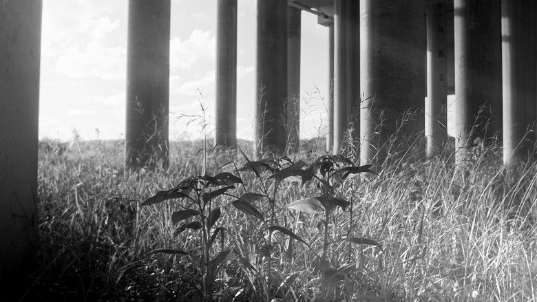 кадр из фильма Facticity